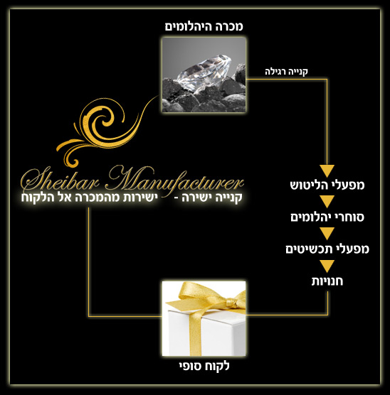 תהליך הקנייה הישירה